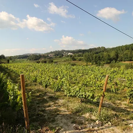 Quinta D'Areda Wine&Pool Experience Guest House Fafe Exterior photo
