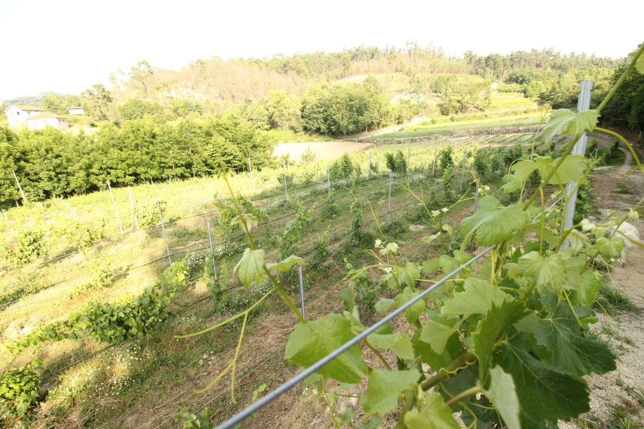 Quinta D'areda Wine&pool Experience * Fafe