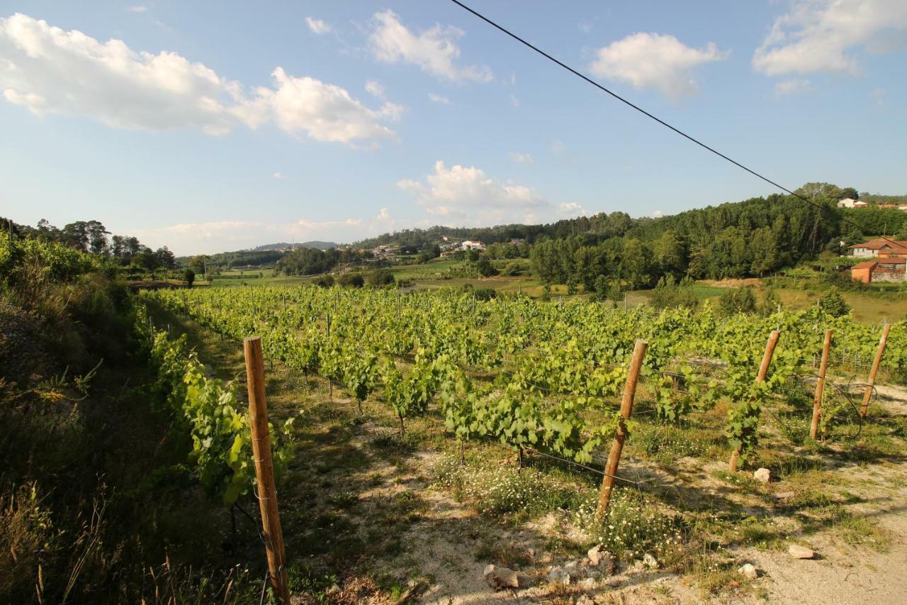 Country house Quinta D'areda Wine&pool Experience