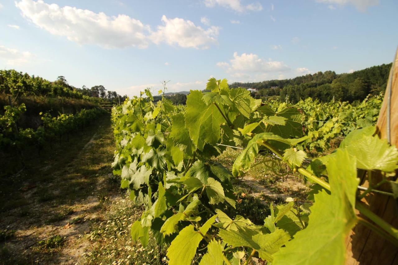Quinta D'areda Wine&pool Experience Country house Fafe